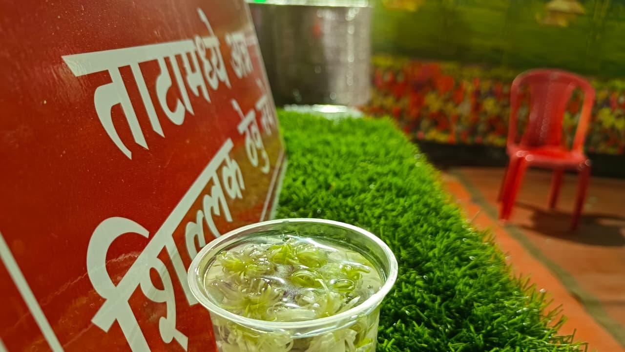 Vibrant chaat counter at an event.